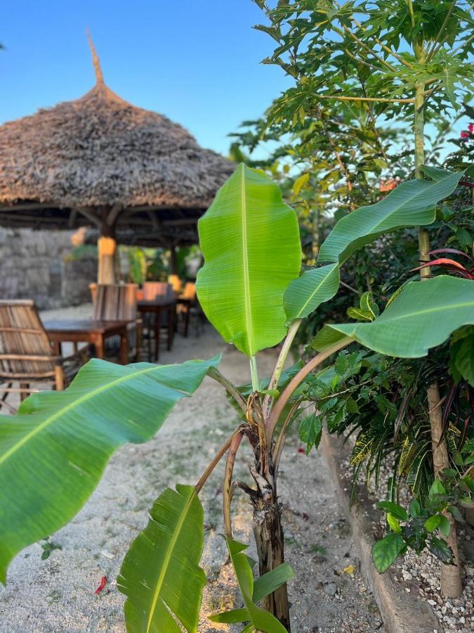 Mbuyuni Lodge Нунгві Екстер'єр фото